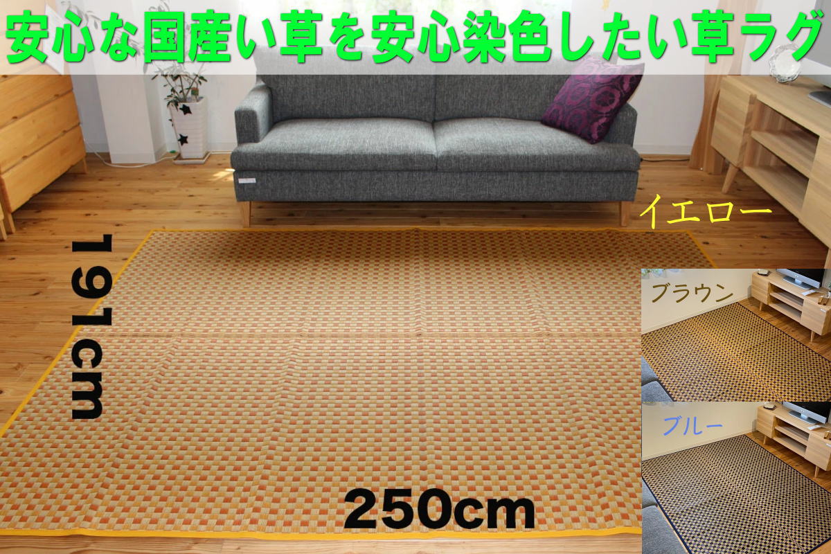 熊本県産い草ラグカーペット団地間3畳・２畳・３畳サイズから選べる3色