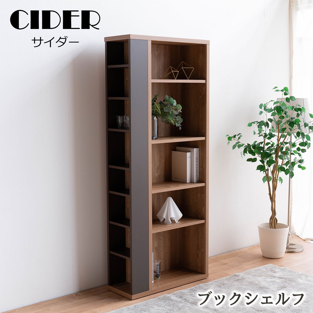 サイダー（ハイタイプ）