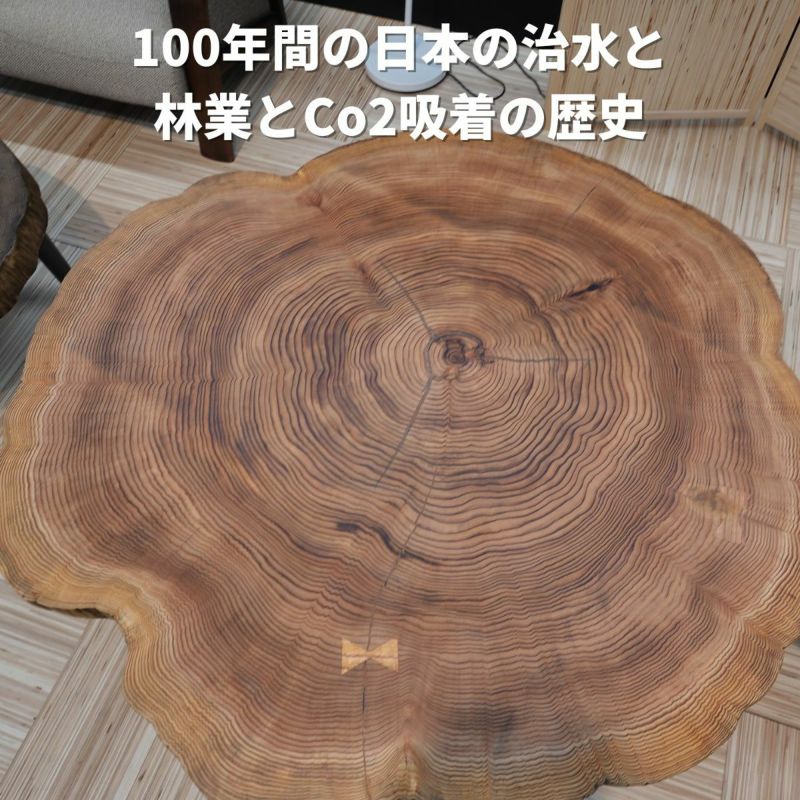 樹齢約100年の小国杉を使用した直径100センチ程の丸太座卓 樹齢約100年の小国杉を使用した直径100センチ程の丸太座卓